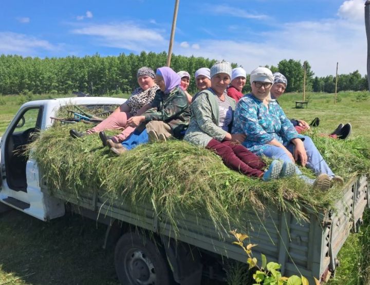 «ВТ» журналисты күршеләр арасындагы мөнәсәбәтләрне җылыта һәм суыта торган сәбәпләрне барлады