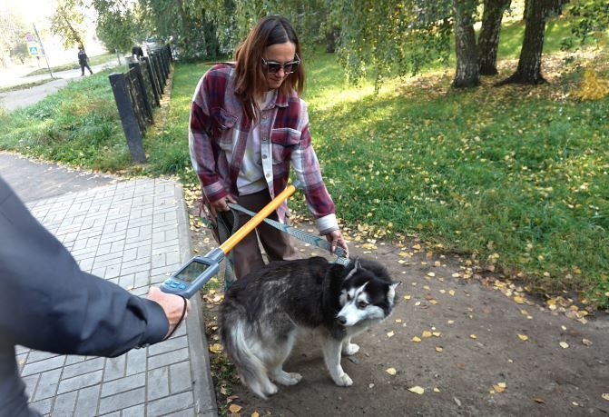 Тешләшмәскә: этләрнең теркәлү-теркәлмәвен тикшерү өчен ветеринарлар рейдка чыкты