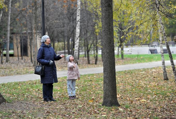 Халык синоптигы: «Тараканнар чыкмыйча һәм пәрәвезләр очмыйча әбиләр чуагы башланмый»