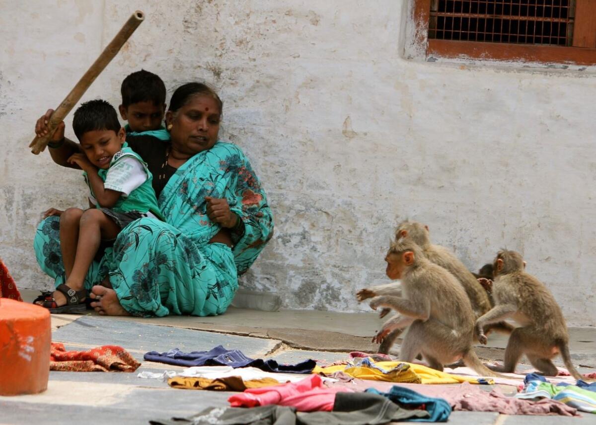 Коронавирус учаклары: Һиндстан авыручылар саны буенча рекорд куя