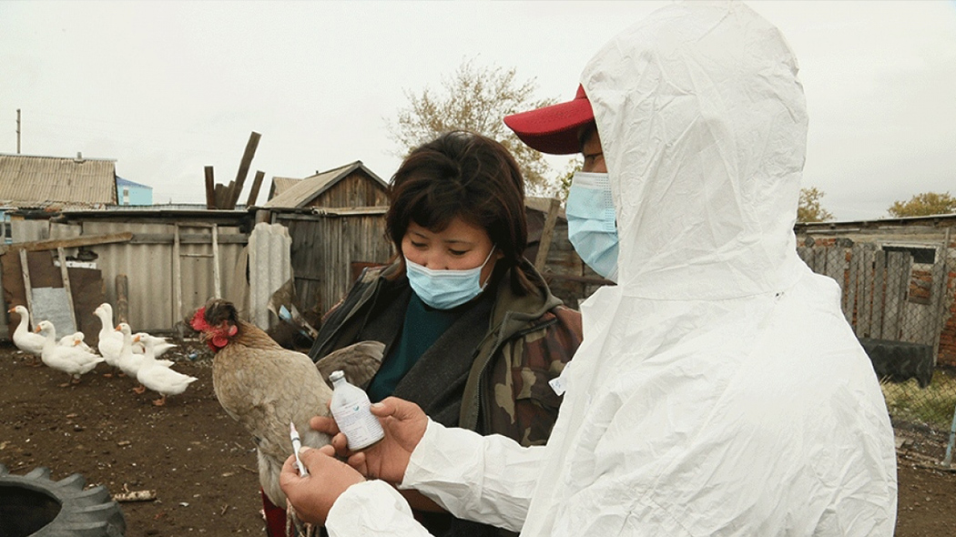 «Әби-апалар кызганыч»: Тукай районында эпидемия