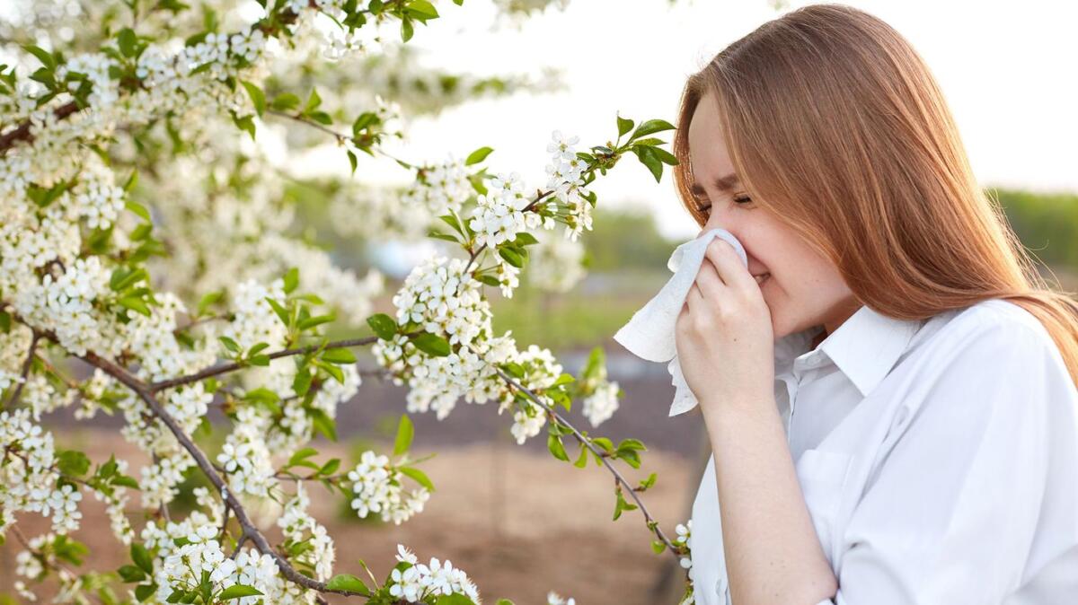 Табиб-аллерголог: Аллергия – нәселдән күчә торган авыру